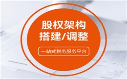股权架构搭建/调整