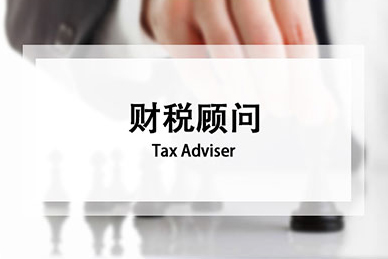 财税顾问